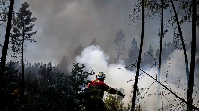 Fire fighter surrounded by white smoke as he extinguishes fire in the bush