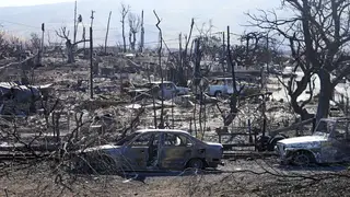 Homes and cars destroyed by the wildfire in Lahaina, Hawaii