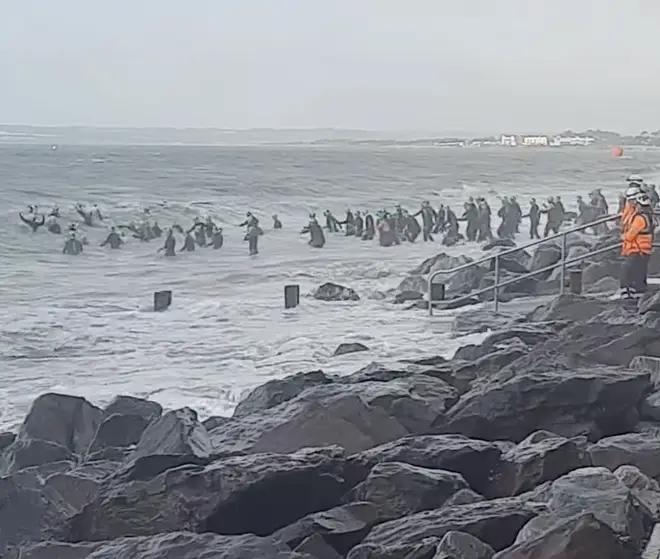 The Ironman 70.3 event in county Cork saw the tragedy during the swimming portion of the triathlon as swimmers braved choppy conditions in the coastal town of Youghal today.