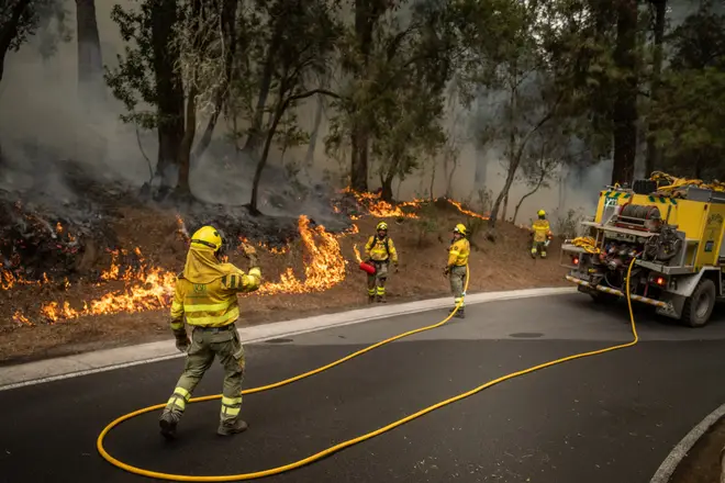 Teams mobilized to protect Tenerife amidst raging wildfires in Canary Islands