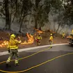 Teams mobilized to protect Tenerife amidst raging wildfires in Canary Islands