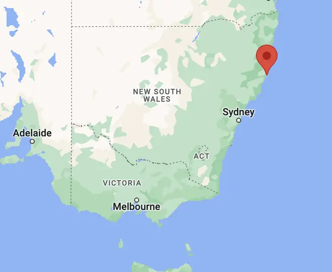 The shark attacked at the beach north east of Sydney