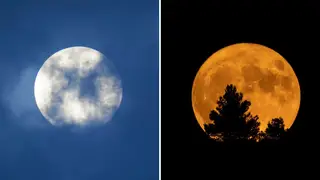 A blue moon will appear in August for the last time this decade.