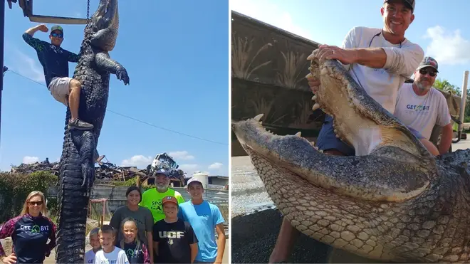The alligator hunters wrestled with their quarry for 4 hours