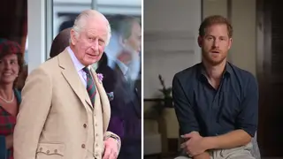 King Charles reportedly has no time to see the Duke of Sussex on his return.