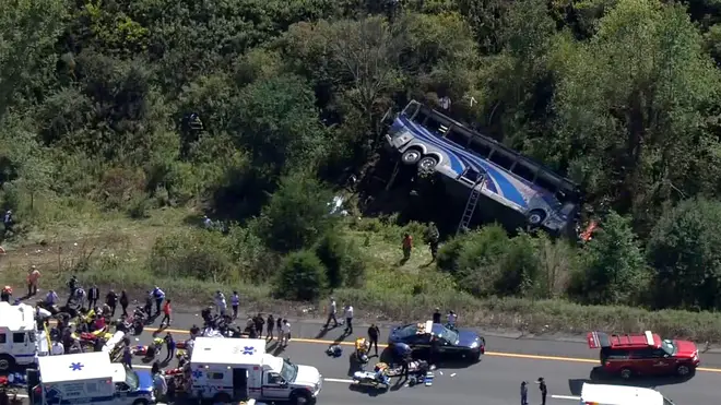 The bus plunged down the embankment on an interstate