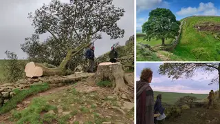 The Sycamore Gap Tree was felled overnight