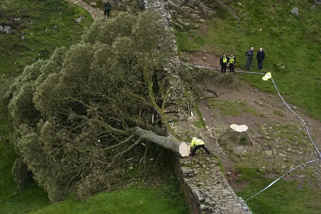 Police officers look at the tree at Sycamore Gap