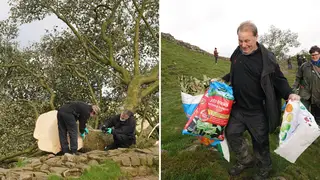 Forensic experts examine the Sycamore Gap Tree