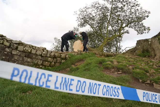 Police work at the Sycamore Gap site