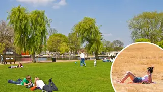 It reach highs as 26C on Saturday