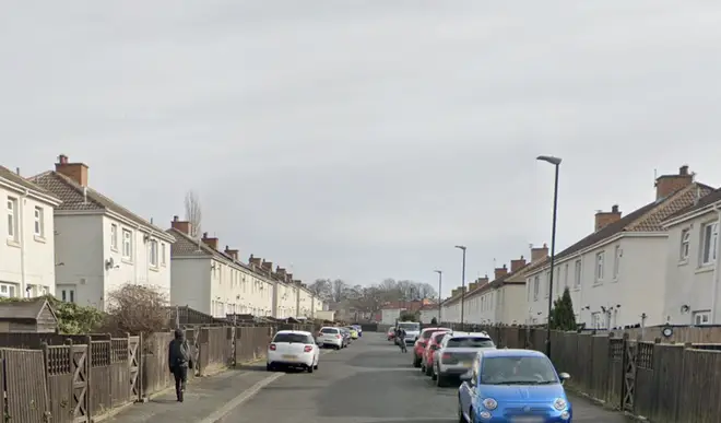 The dog attack took place in Maple Terrace, Sunderland