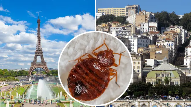 The Parisian bedbug crisis is prompting overseas countries to swiftly implement preventive measures.