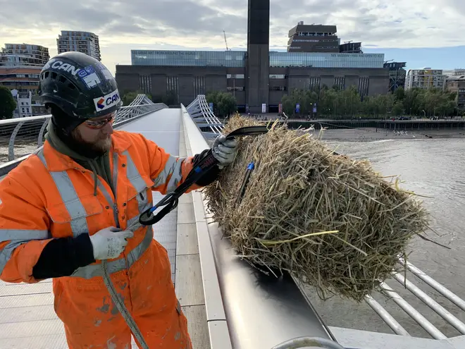 A worker lowering the straw