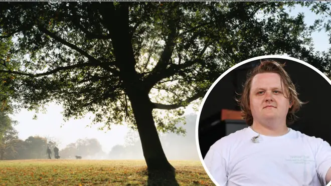 Lewis Capaldi was spotted helping an elderly woman who collapsed in Hampstead Heath