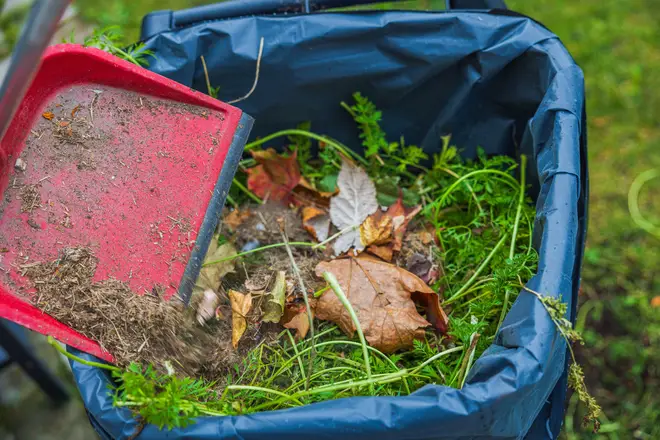 Garden waste will be collected for free.