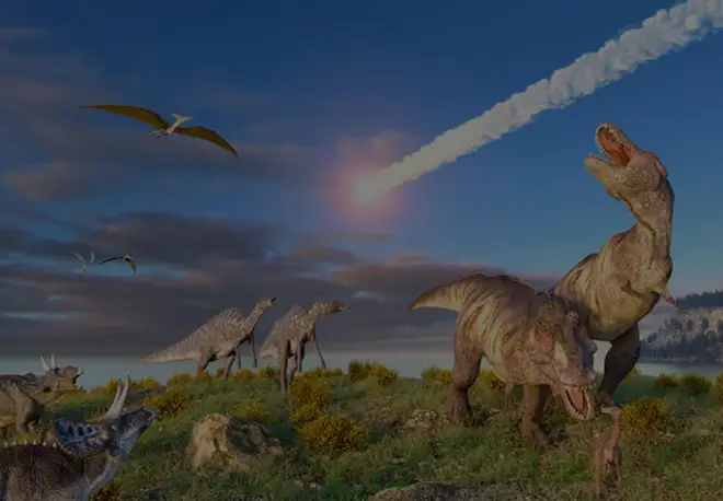 Scientists have revealed what killed off the dinosaurs