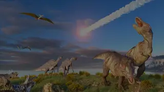 Scientists have revealed what killed off the dinosaurs