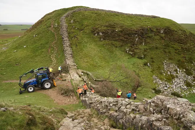 Work beginning in the removal of the felled Sycamore Gap tree earlier in October