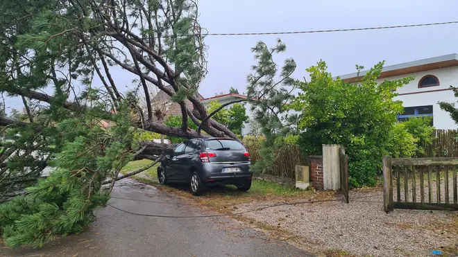This general view shows a fallen tree across a vehicle on a street of Le Touquet, northern France