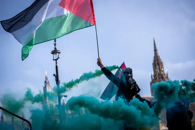 Tens of thousands of demonstrators calling for an immediate ceasefire in Israel's attacks on Gaza are planning to take to the streets of London on Armistice Day