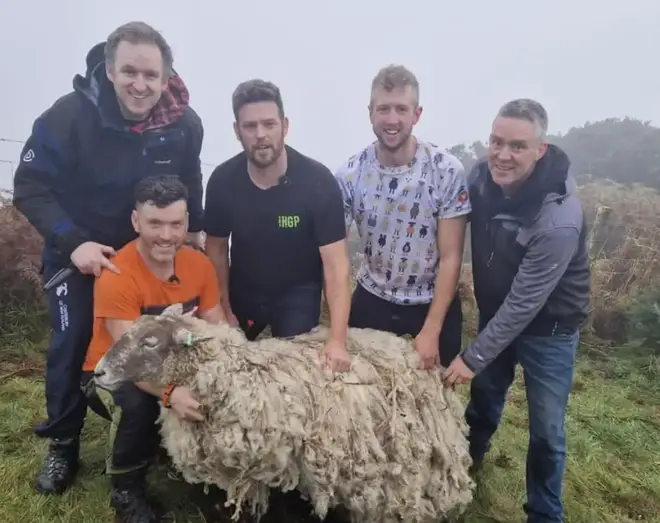 Rescue group The Sheep Game said on social media: "She is in incredible fettle."Britain&squot;s loneliest sheep is lonely no more."