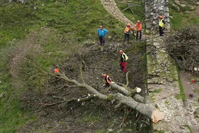File photo dated 11/10/2023 of the work beginning with the removal of the felled Sycamore Gap tree on Hadrian's Wall in Northumberland. The world-famous Sycamore Gap tree is set to be removed from Hadrian's Wall two weeks after it was chopped down.