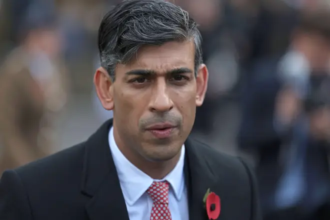 Rishi Sunak described the protest planned for Armistice day as 'provocative and disrespectful'.