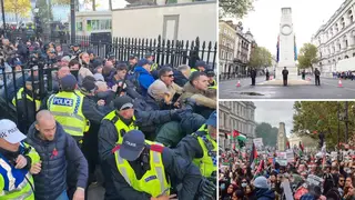 A fight has broken among counter-protesters near the Cenotaph ahead of today's pro-Palestine march.