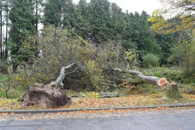 It comes after Storm Ciaran battered the UK.