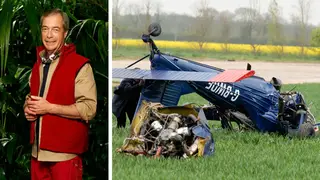Grace Dent poked fun at Nigel Farage's plane crash