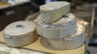 Camembert cheeses