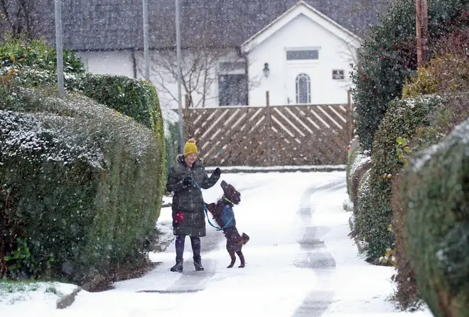 Dog walkers out and about as snow blankets parts of the country