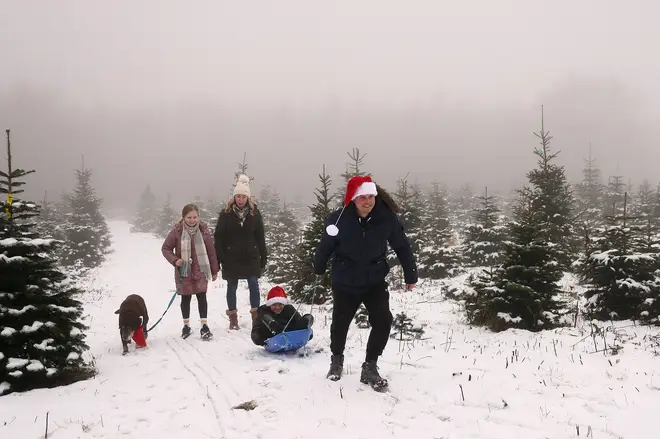 The Abell family walk through the Bradgate Christmas Tree Farm near Newtown Linford after snowfall in Leicestershire
