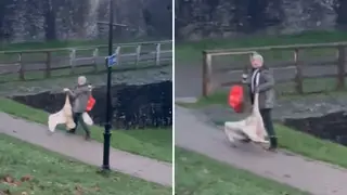 A man has been filmed dragging a swan by its neck through a park in Wales.