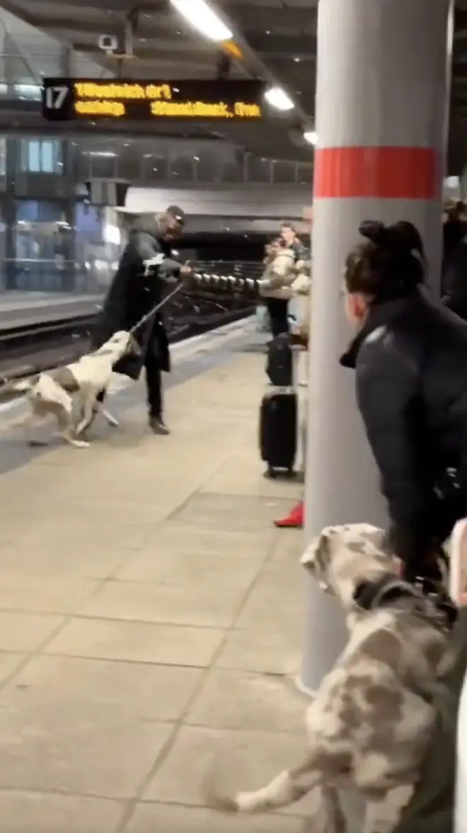 The dog attack took at Stratford station in east London