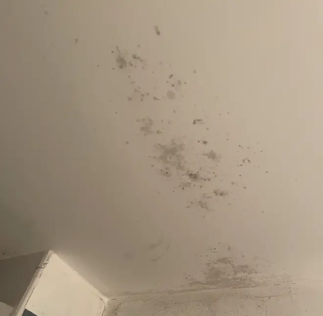 Mould has appeared in the home.