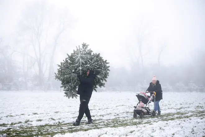 Man carries a Christmas tree across a snow covered field in Bodsham