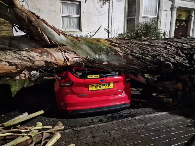 Fallen trees are causing destruction in the aftermath of Storm Henk