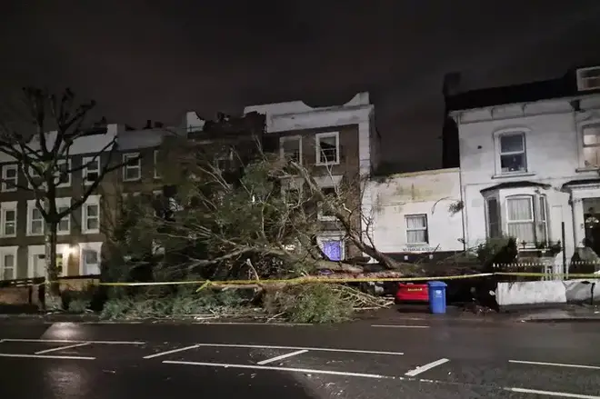 Car crushed by a tree in Forest Hill, South-East London