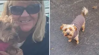 Agnes Donaldson's Yorkshire Terrier Milly was killed by an XL Bully