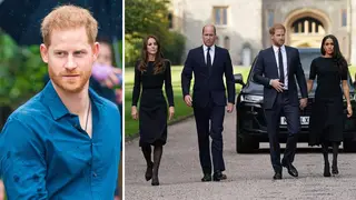 William's fury at Harry's 'blatant attack' on Kate