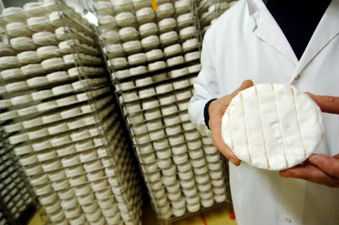 Brie and Camembert 'could go extinct'