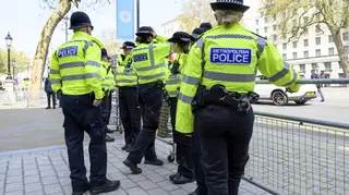 Eight Met police officers are being investigated (file image)