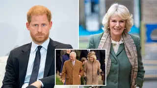 Prince Harry 'did not want to be in same room as Queen Camilla' when visiting the King amid cancer diagnosis