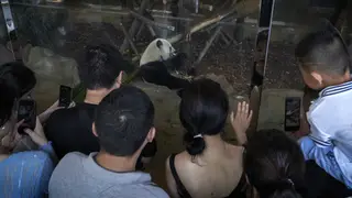 Visitors at Chengdu Research Base of Giant Panda Breeding in China