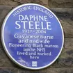The woman credited as the "first Black matron" in the NHS has had her achievement marked with a blue plaque