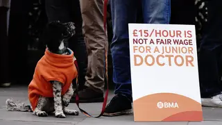 A dog joins junior doctors on the picket line outside St Thomas’ Hospital