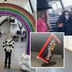 Actors from 'shambolic' Willy Wonka-inspired event left 'humiliated' as children dressed as Oompa Loompas are reduced to tears