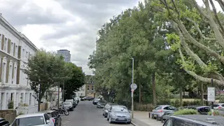 The dog attacked people on Home Road in Battersea